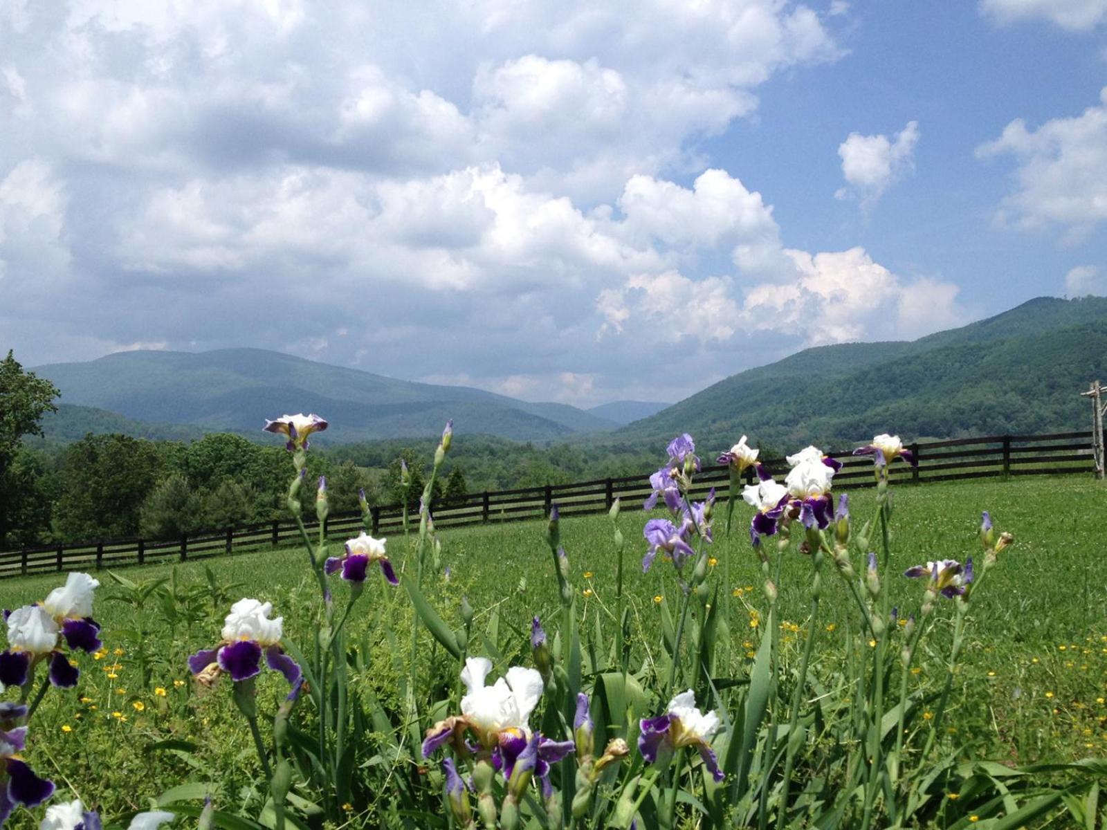 Montfair Resort Farm Crozet Cameră foto